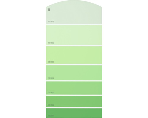Farbmusterkarte G09 Farbwelt grün 21x10 cm
