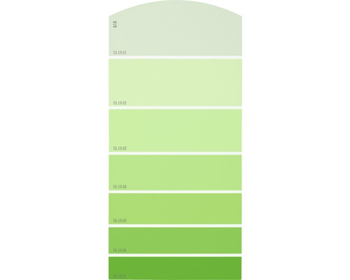 Farbmusterkarte G10 Farbwelt grün 21x10 cm