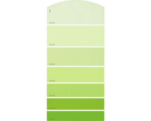 Farbmusterkarte G11 Farbwelt grün 21x10 cm