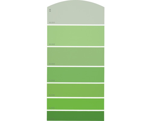 Farbmusterkarte G16 Farbwelt grün 21x10 cm