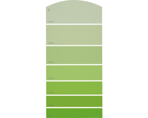 Farbmusterkarte G17 Farbwelt grün 21x10 cm