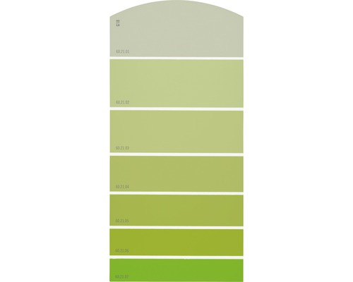 Farbmusterkarte G18 Farbwelt grün 21x10 cm