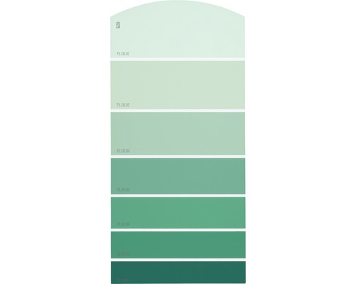 Farbmusterkarte G20 Farbwelt grün 21x10 cm