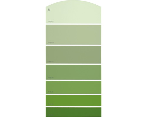 Farbmusterkarte G23 Farbwelt grün 21x10 cm