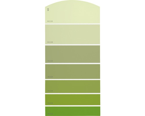 Farbmusterkarte G24 Farbwelt grün 21x10 cm