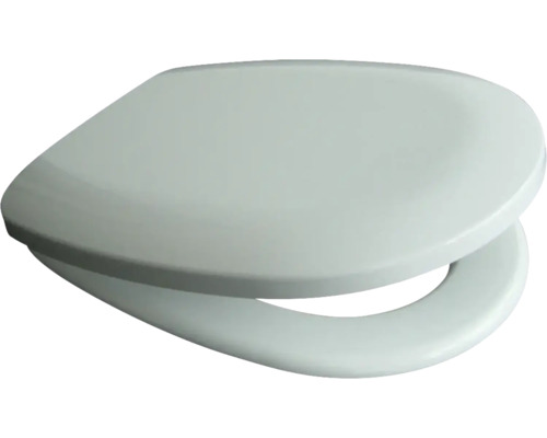 Toilettendeckel