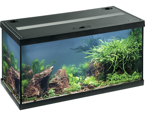 Aquarium EHEIM Aquastar inkl. Beleuchtung Innenfilter Thermometer 60 x 30 x 30 cm schwarz