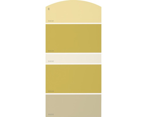 Farbmusterkarte J09 Farben für Körper, Geist & Seele - behaglich & entspannend 21x10 cm
