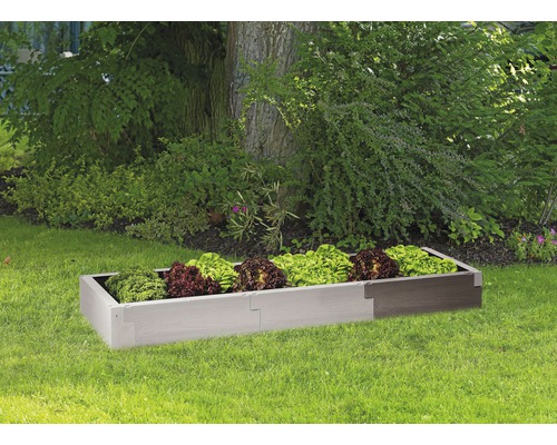 Hochbeet aus Kunststoff mit Salatpflanzen im Garten