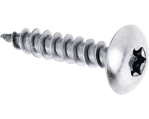 Torx Schraube mit Linsenkopf