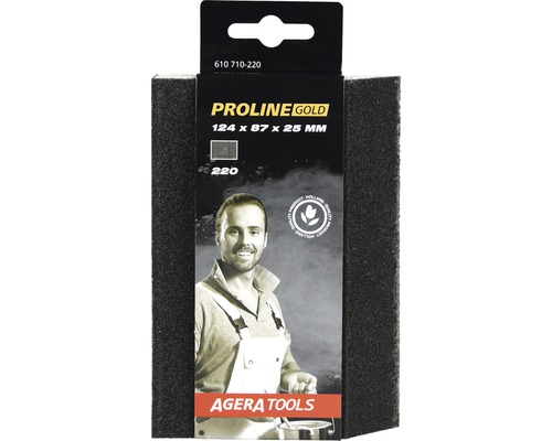 PROLINE Gold Schleifschwamm, Körnung 220, Maße 124 x 87 x 25 Millimeter