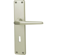 Türdrücker mit Langschild
