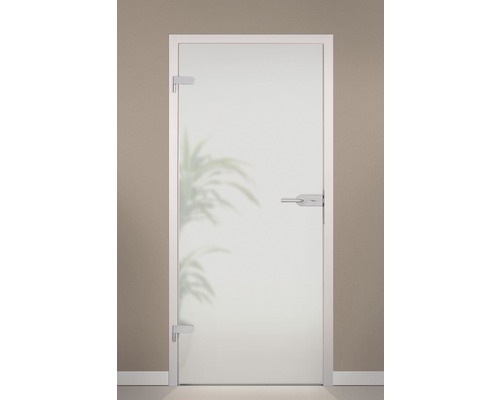 Glastür mit satiniertem Glas und Beschlägen