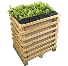 Hochbeet aus Holz mit Pflanzen und Pflanzbehältern.