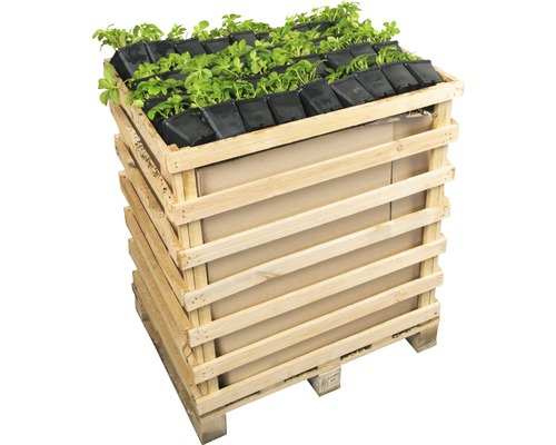 Hochbeet aus Holz mit Pflanzen in Töpfen auf einer Palette