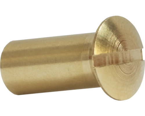 Hülsenmutter Schlitz Innengewinde 8 x 15 mm 100 Stück Messingfarbene Schlitzschraube
