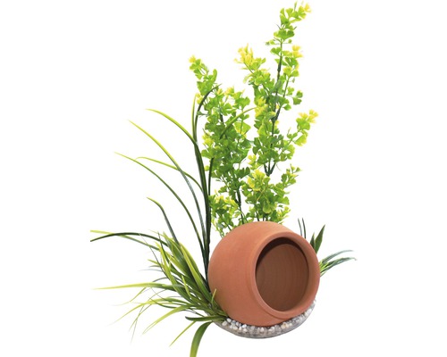 Jar plant 35 cm