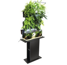 Vertikaler Zimmergarten mit Aquarium und Pflanzenbeleuchtung auf einem schwarzen Podest
