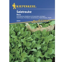 Kiepenkerl Logo. Saatgutpackung Salatrauke mit frischen Blättern.