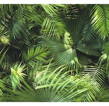 Pop.up Panel selbstklebend Palm-Dschungel-thumb-0 Pop.up Panel selbstklebend Palm-Dschungel-thumb-0