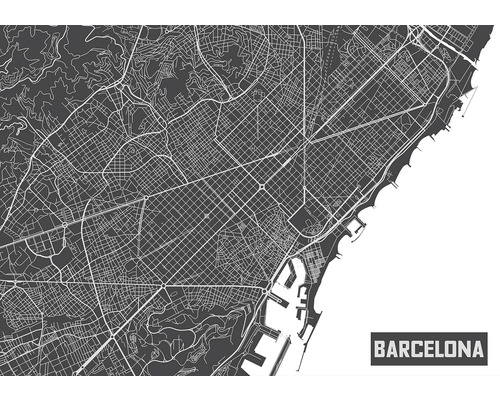 Fototapete Papier 12745P4 Barcelona Karte 2-tlg. 254x184 cm