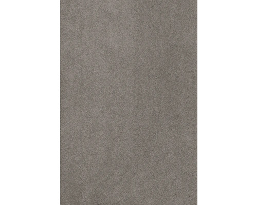 Teppichboden Kräuselvelours Proteus grau-beige 400 cm breit (Meterware)