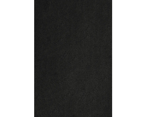 Teppichboden Kräuselvelours Proteus schwarz 500 cm breit (Meterware)