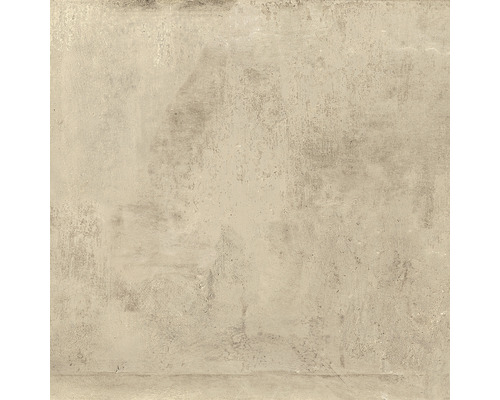 Feinsteinzeug Bodenfliese Cult Beige 81x81 cm beige rektifiziert