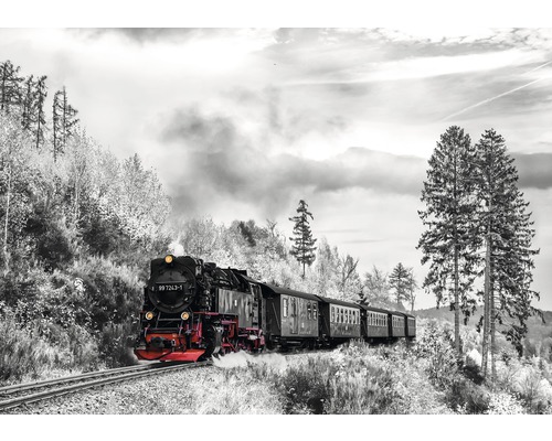 Fototapete Vlies 13010V4 Dampflokomotive 2-tlg. 254x184 cm