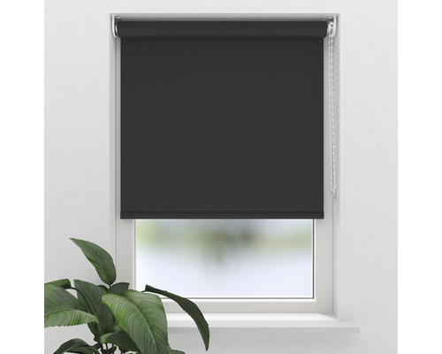 Soluna Tageslichtrollo Eco Essence dunkelgrau 60x190 cm Soluna Tageslichtrollo Eco Essence dunkelgrau 60x190 cm