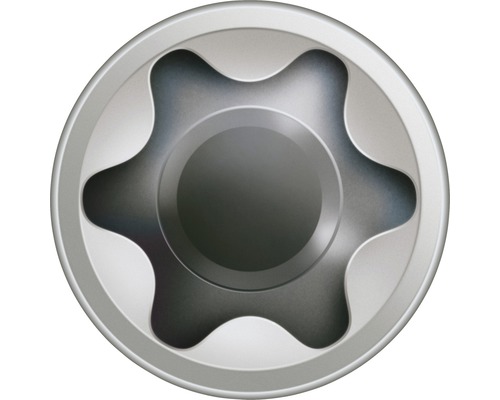 Torx-Bit für Schraubendreher