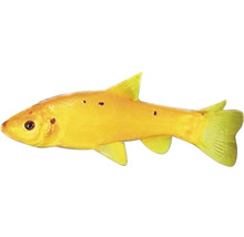 Goldfisch für den Gartenteich