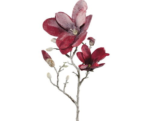 Kunstblume Magnolie gefrostet Höhe: 63 cm rot