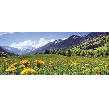 Landschaft mit blühender Wiese und Bergkulisse