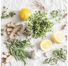 Arrangement mit Zitrone, Ingwer, Knoblauch, Rosmarin und Thymian