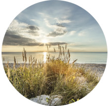 Sonnenaufgang am Strand mit Gras im Vordergrund