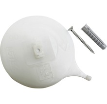 WC-Siphon-Rosette mit Schraube und Dübel