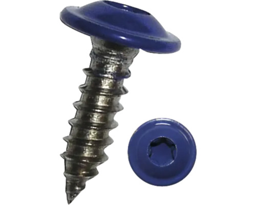 Blechschraube f.Nummernschild, 4,8 x 16 mm, Edelstahl blau, 100 Stück