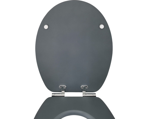 Toilettendeckel aus Kunststoff mit Scharnieren
