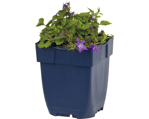 gartenbox alu Möbel :: Gartenmöbel :: Aufbewahrungsbehälter für draußen :: Gartenbox- Fahrradgarage FW mit Pflanzenwanne aus Aluminium RAL 7016 beschichtet MES4010 Entsafter | Bosch