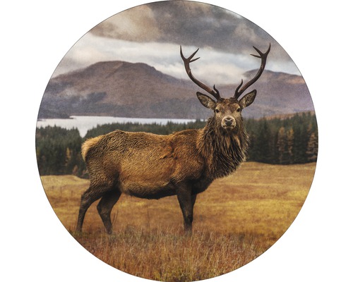Glasbild rund Deer In A Field Ø 20 cm GLR068