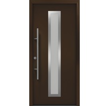 Haustür mit Glaseinsatz und Griffstange