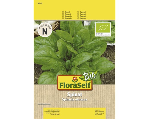 Bio Spinat FloraSelf Bio F1 Hybride Gemüsesamen