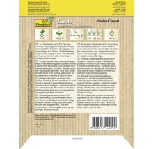 FloraSelf Bio Tomatensamen Golden Currant