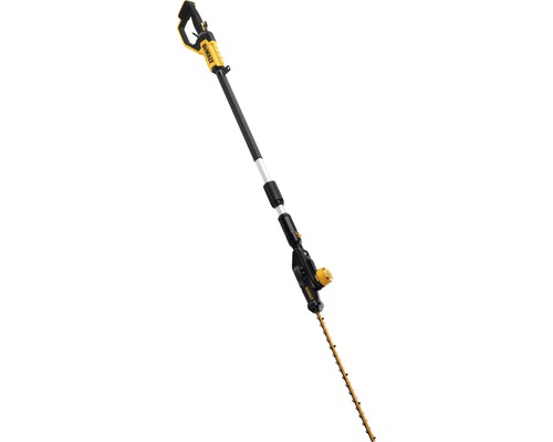 DeWalt Akku-Hochentaster mit Teleskopstiel für Baumschnittarbeiten