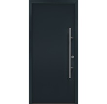 Haustür mit Edelstahlgriff