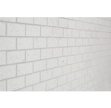 Nahaufnahme einer Wand mit weißen Verblendsteinen