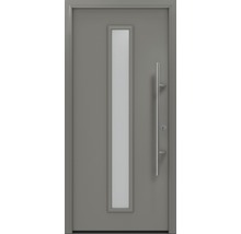 Graue Haustür mit Glaseinsatz und Griff