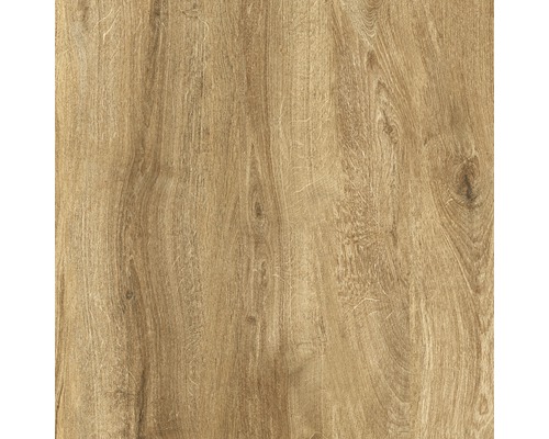 Feinsteinzeug Terrassenplatte Limewood roble 59,2 x 59,2 x 2 cm R11C - Bild 2 von 11