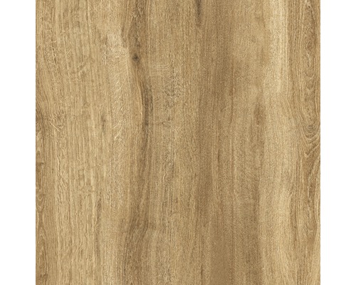 Feinsteinzeug Terrassenplatte Limewood roble 59,2 x 59,2 x 2 cm R11C - Bild 10 von 11